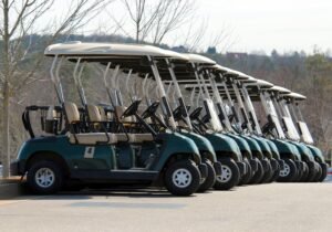 lithium golf cart battery