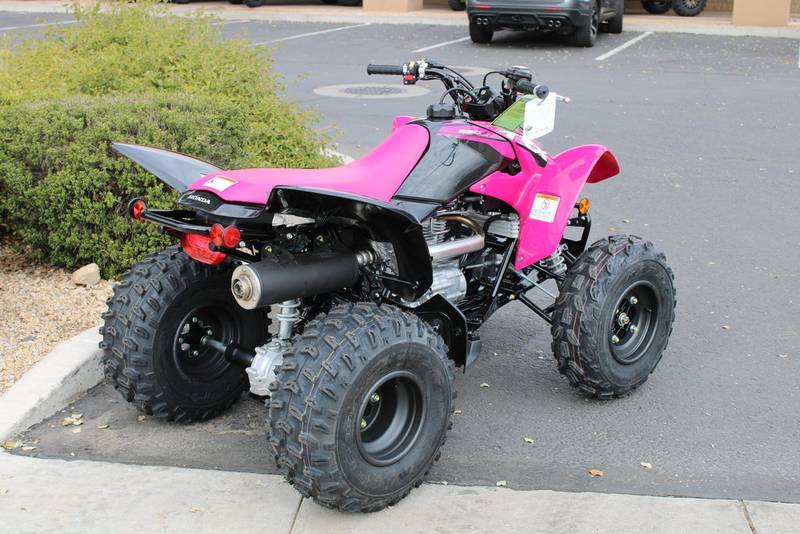 2021 Honda TRX250X Sport - Image 6