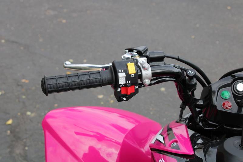 2021 Honda TRX250X Sport - Image 2