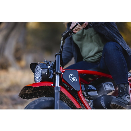 Coleman Powersports 196cc Gas-Powered Minibike, B200 - Image 4