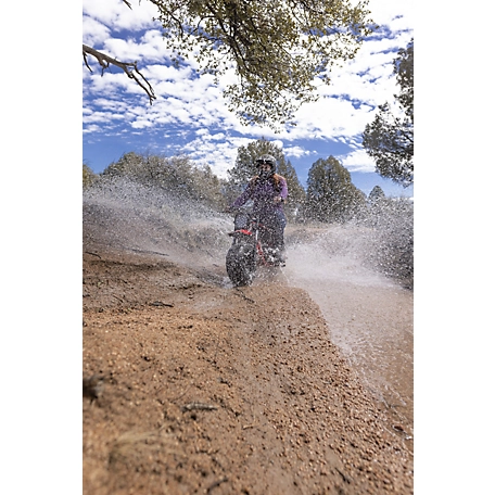 Coleman Powersports 196cc Gas-Powered Minibike, B200 - Image 6