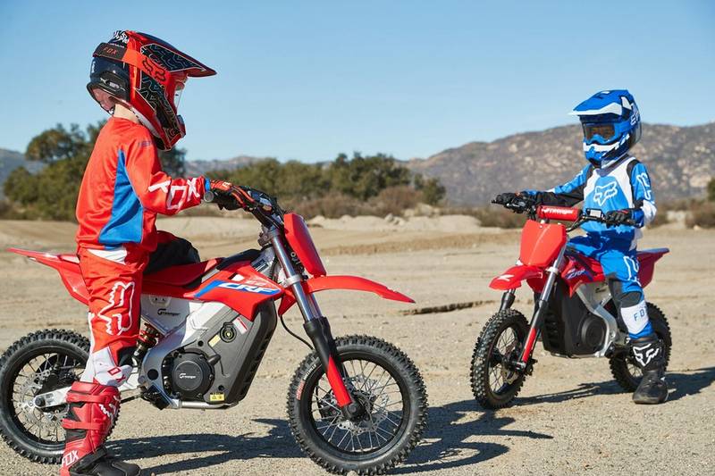 2022 Greenger Powersports CRF E-2 - Image 6