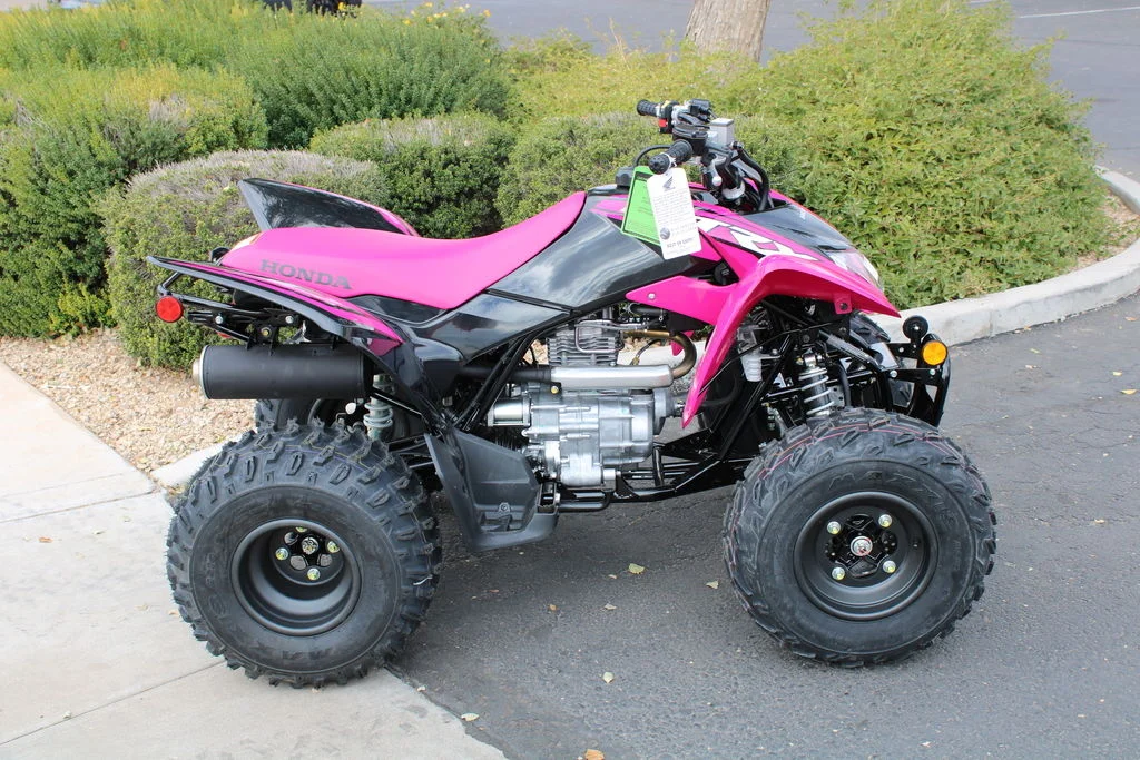 2021 Honda TRX250X Sport - Image 4