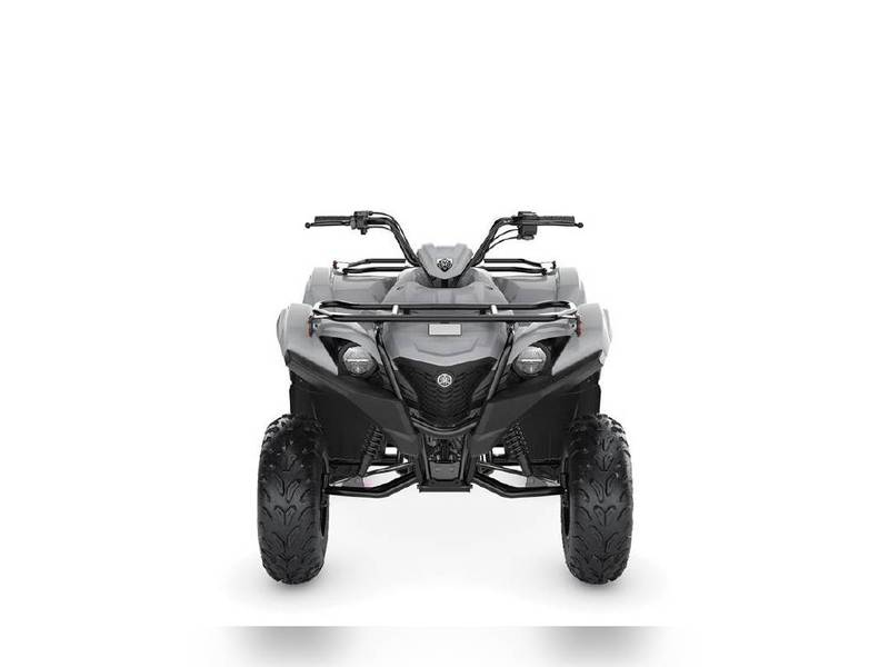 New 2022 Yamaha Recreation/Utility Grizzly EPS - Image 3