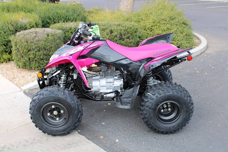 2021 Honda TRX250X Sport - Image 3