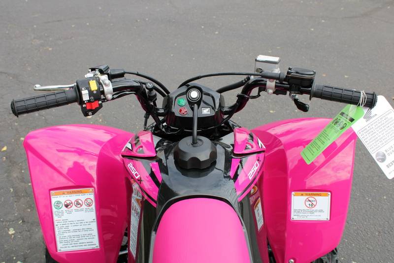 2021 Honda TRX250X Sport - Image 7