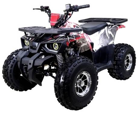 125cc Quad Tao Tao 125cc ATV Raptor Mid Size Automatic With Reverse Junior 4 Wheeler - Image 2