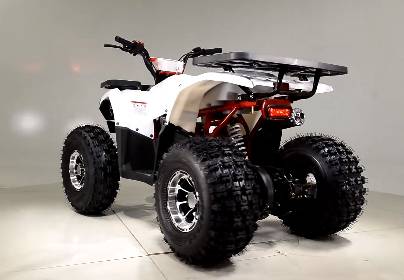 125cc Quad Tao Tao 125cc ATV Raptor Mid Size Automatic With Reverse Junior 4 Wheeler - Image 4